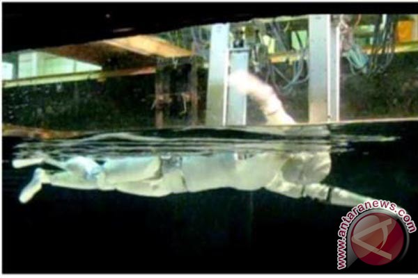 Peneliti Jepang Buat Robot Penjaga Pantai