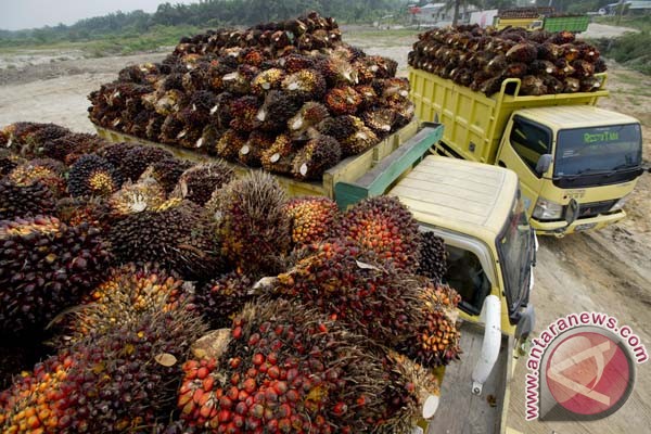 &#91;TAKUT MOGOK&#93;, Kendaraan Tempur Belum Pakai Solar Campur BIODIESEL