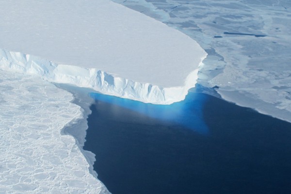 Studi: laju penyusutan es Antartika lebih lambat dari perkiraan
