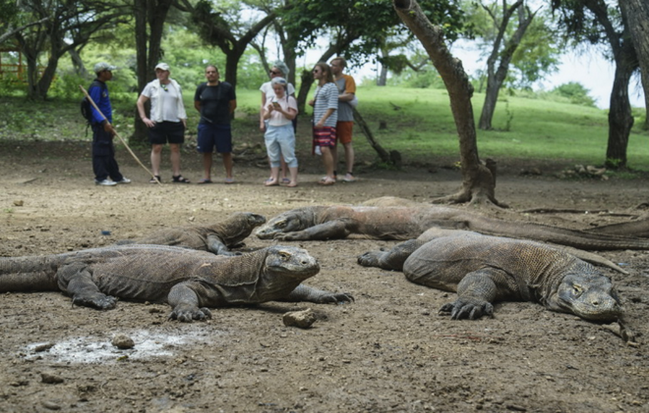 Ini Alasan Pemprov NTT Bersikeras Tutup Pulau Komodo
