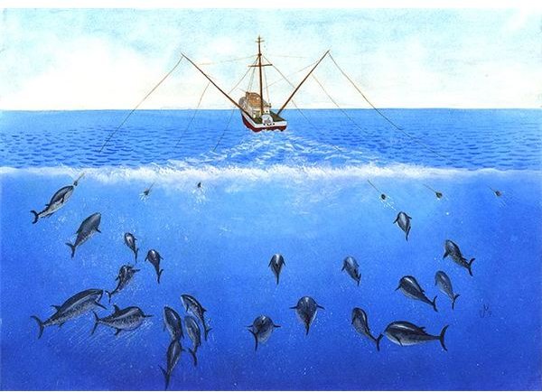 taiwan-mohon-indonesia-tak-larang-nelayannya-cari-tuna