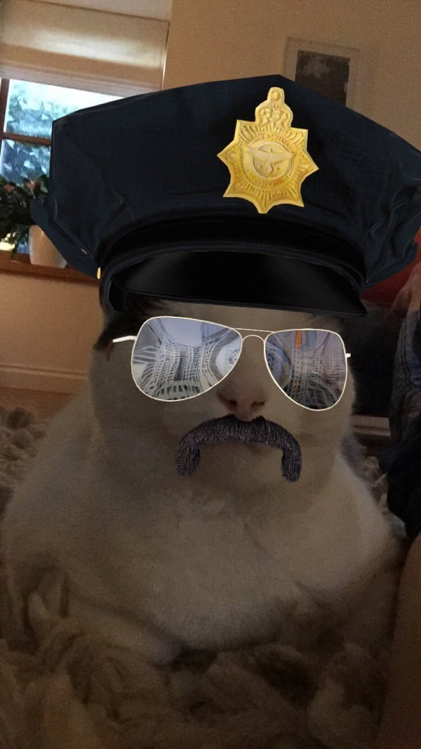 Kalau Anjing dan Kucing Pakai Snapchat