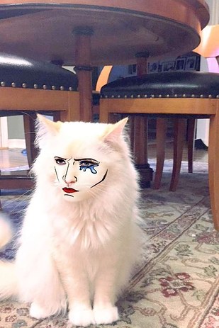 Kalau Anjing dan Kucing Pakai Snapchat