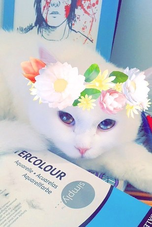 Kalau Anjing dan Kucing Pakai Snapchat