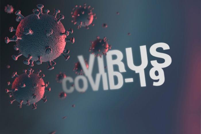 Satgas: Banyak WNA Terdeteksi Positif Covid-19, Tapi Bawa Dokumen Negatif