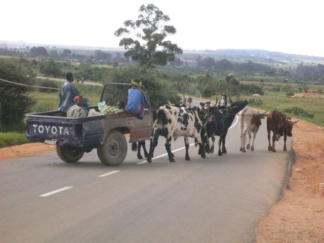 &#91;PIC&#93; Kebiasaan yang hanya ditemukan di Afrika &#91;Ngakak gan!!&#93;