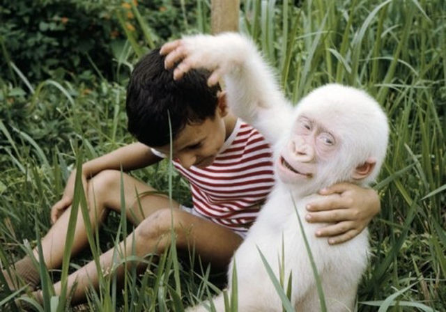 &#91;PIC&#93; HEWAN HEWAN ALBINO yang UNIK UNIK dan LANGKA