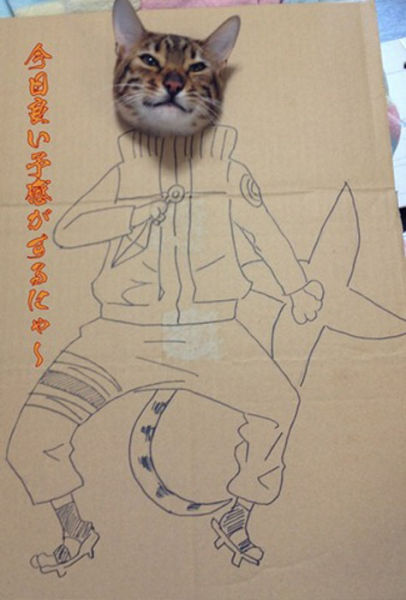 seni LUKIS si MEONG di dalem KARDUS !!!