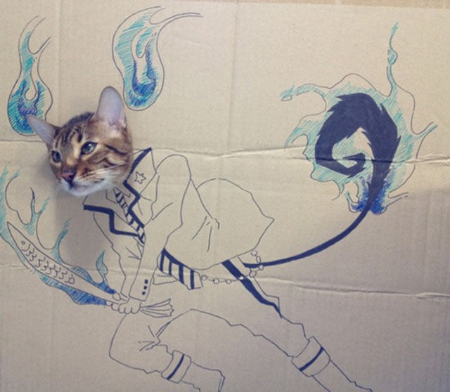 seni LUKIS si MEONG di dalem KARDUS !!!