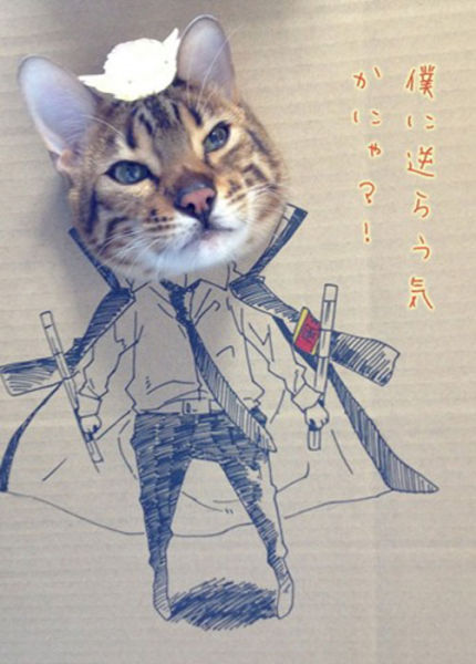 seni LUKIS si MEONG di dalem KARDUS !!!