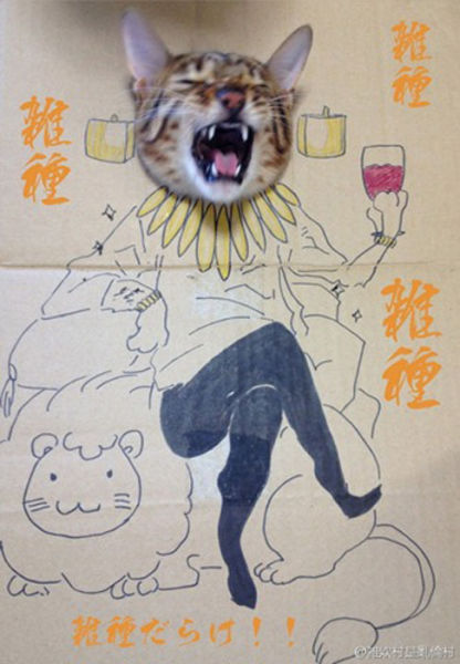 seni LUKIS si MEONG di dalem KARDUS !!!