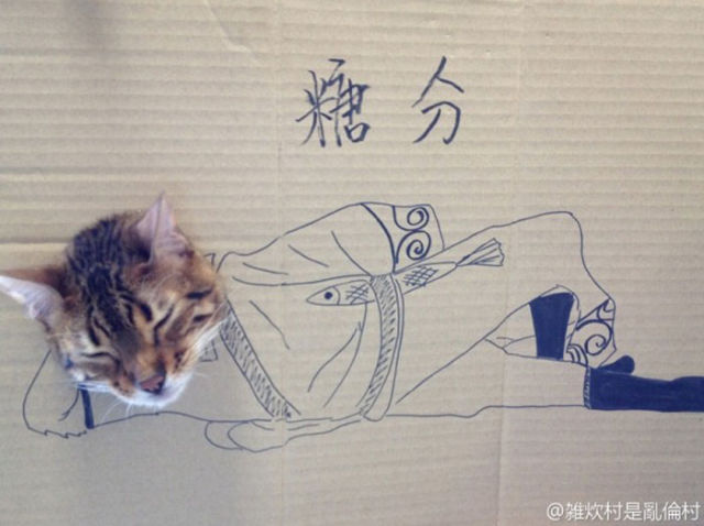 seni LUKIS si MEONG di dalem KARDUS !!!