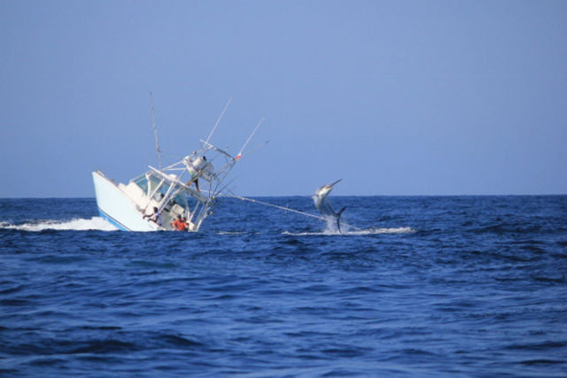 Pemancing VS Ikan &#91;FOTO&#93;