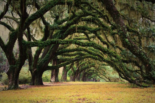 PENGEN KELILING DUNIA, JANGAN LUPA KE TEMPAT INI.....SURGANYA DUNIA &#91;Part 2&#93;