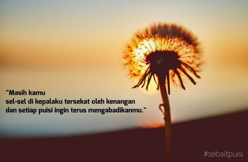 Orang Yang Tuhan Pilih Kan Akan Membuat Hari-Hari Buruk Mu Lebih Mudah