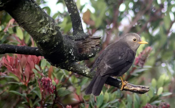 4 Misteri Gunung Lawu, Gunung Paling Angker di Pulau Jawa