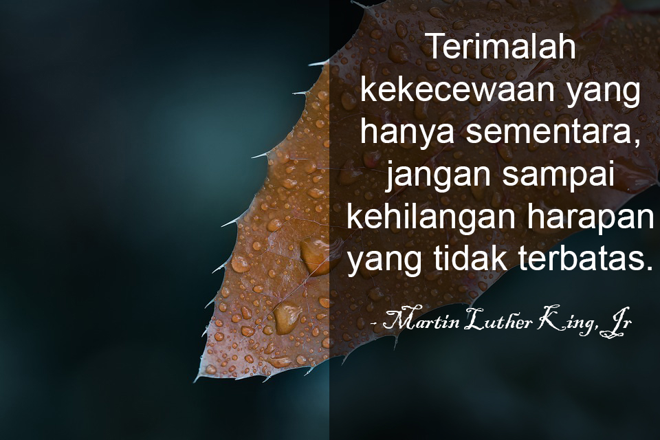 Saya harap Anda belajar Untuk melepaskan semua hal yang tidak berarti Untuk Anda