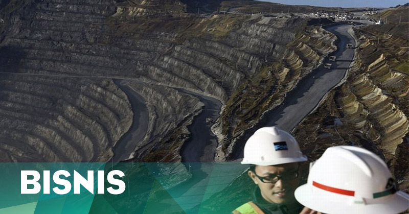 kalau-pemerintah-tak-mau-beli-saham-freeport-bakal-nyungsep