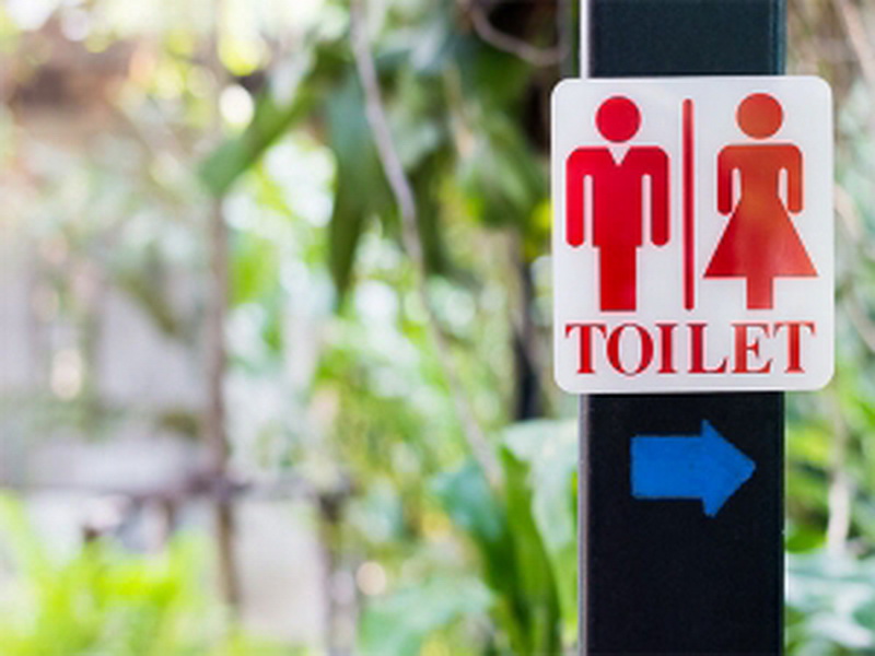 Ini Lho 4 Fakta Mengerikan Tentang Toilet