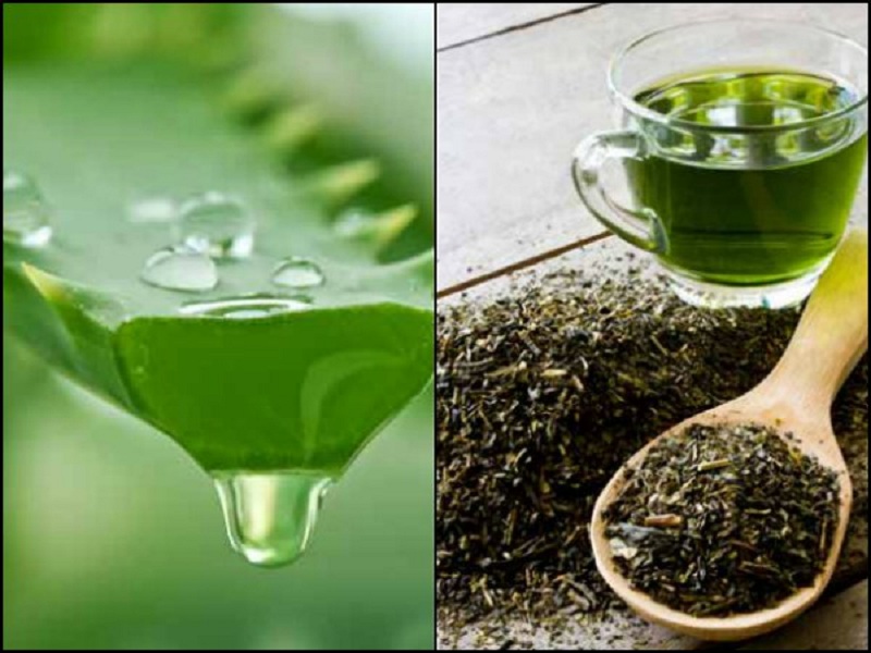 Manfaatkan Lidah Buaya untuk Menurunkan Berat Badan