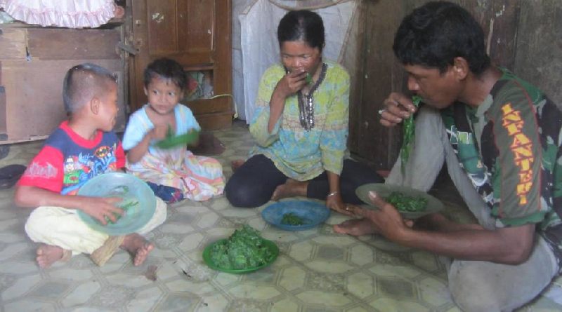 Lima Tahun Keluarga Miskin Ini Hanya Makan Daun-daunan