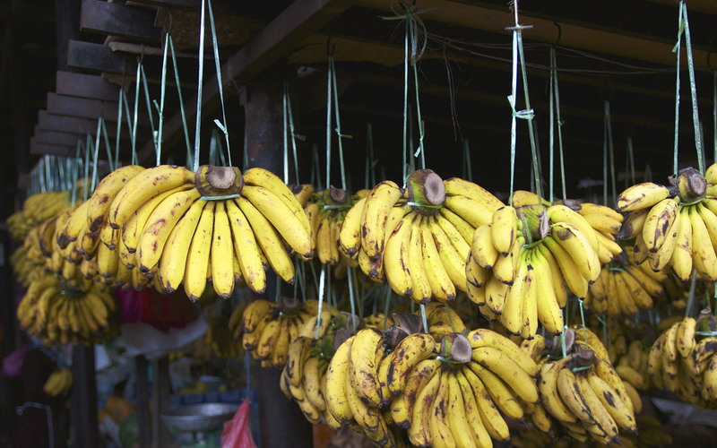 5 Cara Jitu Agar Pisang Tahan lama, Tidak Mudah Busuk, dan Menghitam
