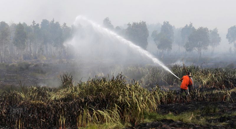 Kepala BNPB: Lahan Sudah Padam, Dibakar Lagi