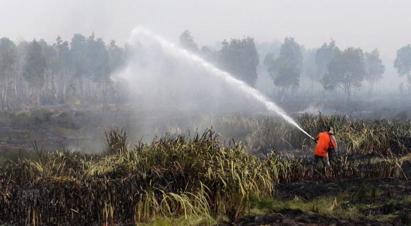 kepala-bnpb-lahan-sudah-padam-dibakar-lagi