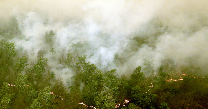 Kebakaran Hutan dan Lahan di Riau Belum Padam