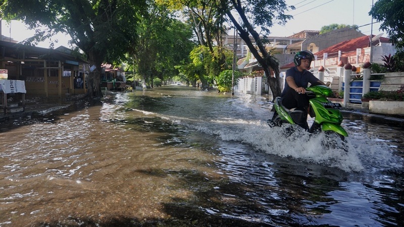 Banjir Rob Rendam Ratusan Rumah di Padang