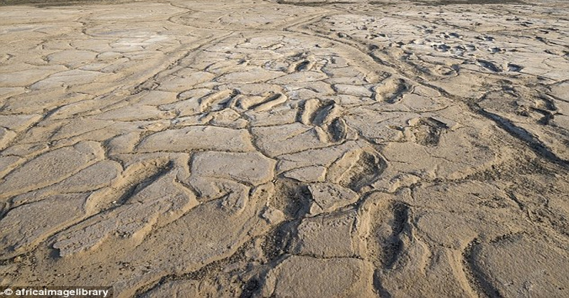 HEBOH Kumpulan Jejak Kaki Berusia 19 Ribu Tahun Ditemukan