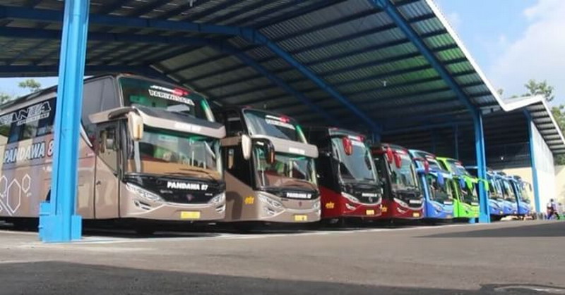 7 Telolet Terbaik Menurut Pencinta Bus