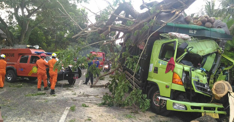 banting-setir-hindari-sepeda-truk-hantam-pohon-hingga-tumbang