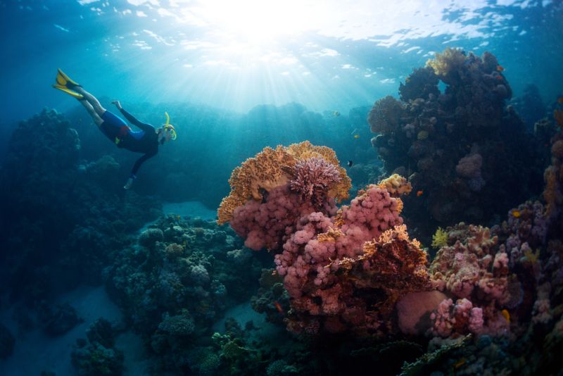 Pulau Samalona, Eksotisme Mungil di Makassar