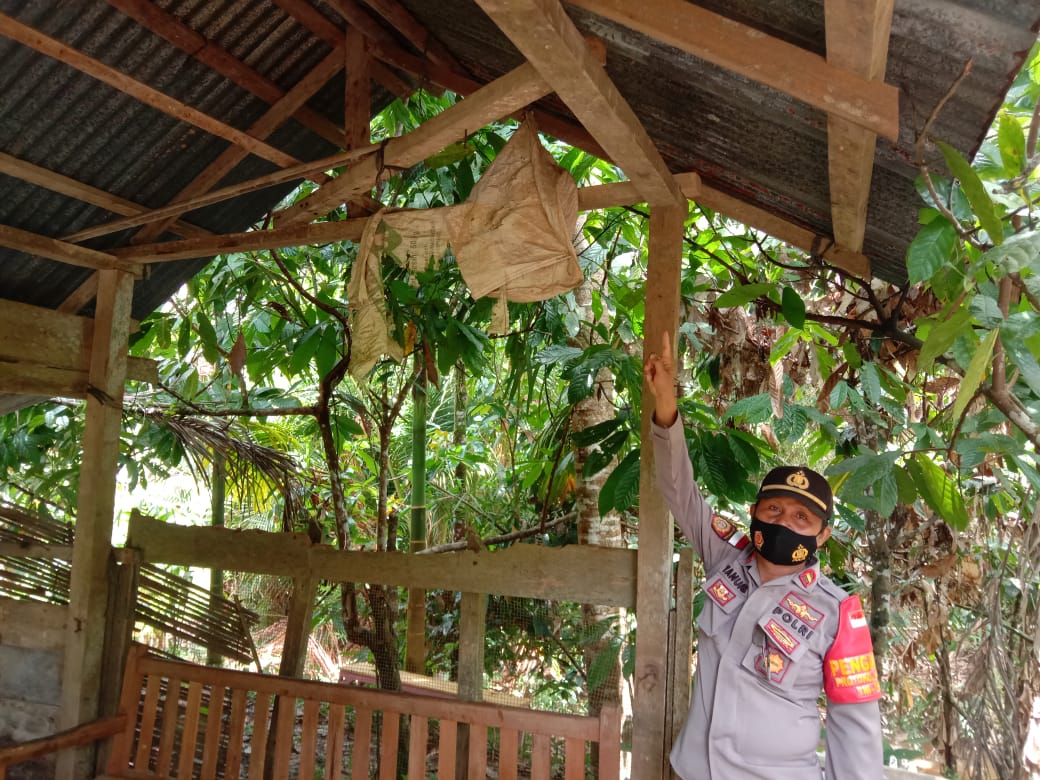 post-image
