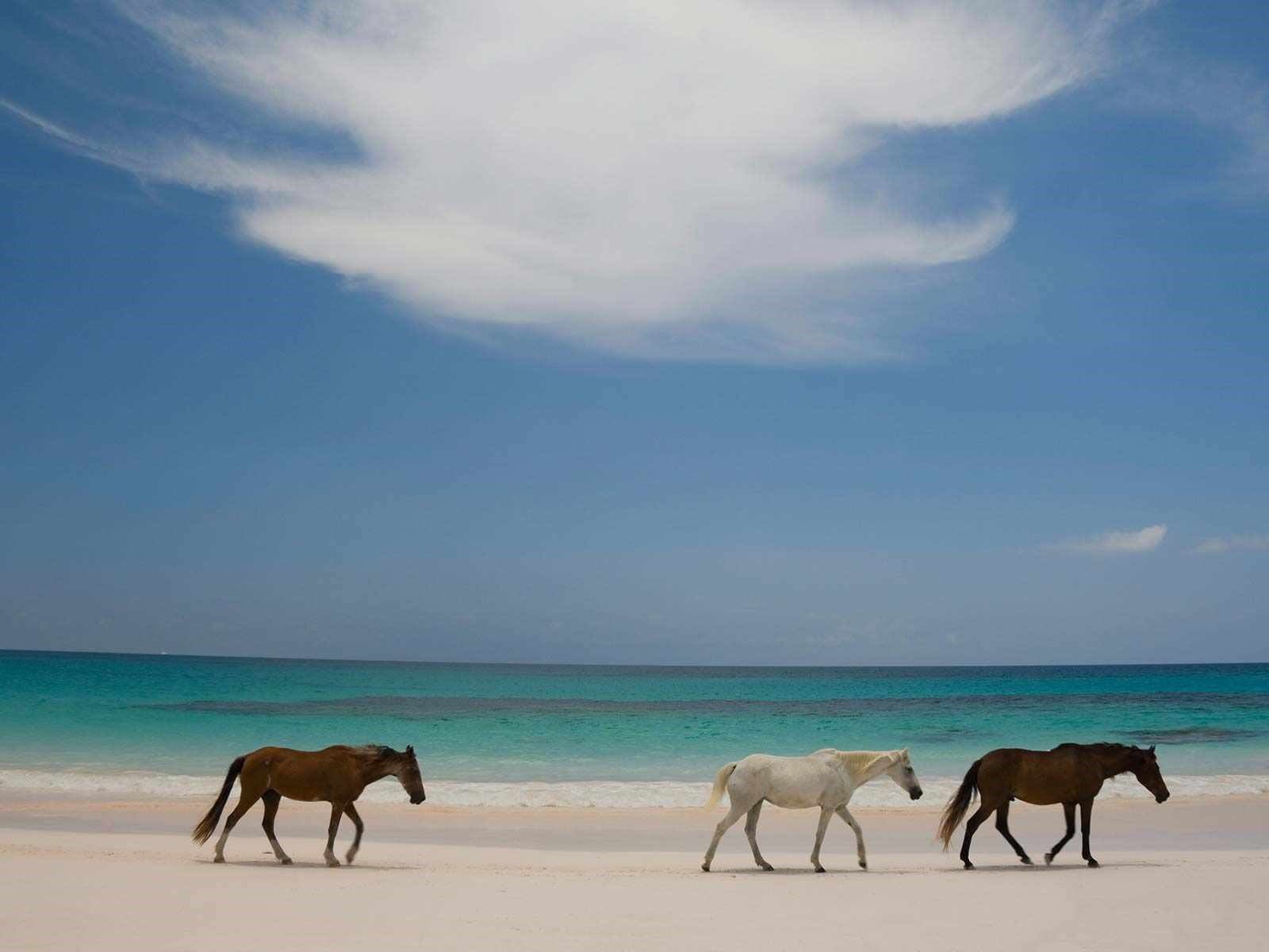 Pantai-Pantai Unik di Dunia