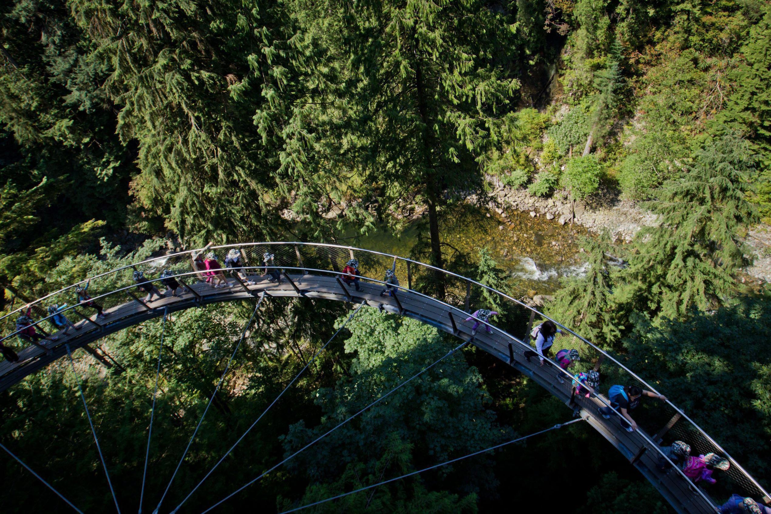 Skywalk Paling Keren di Dunia