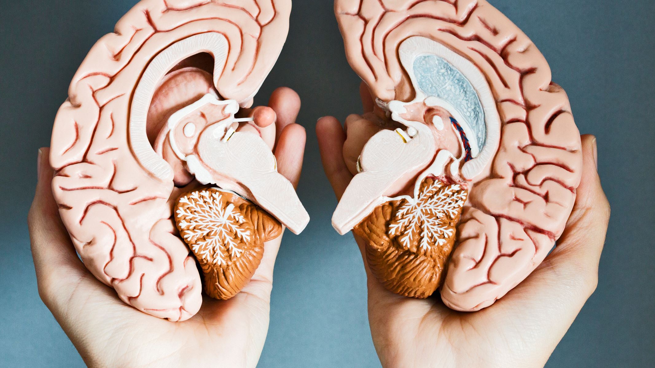 10 Cara untuk Merangsang Kinerja Otak 