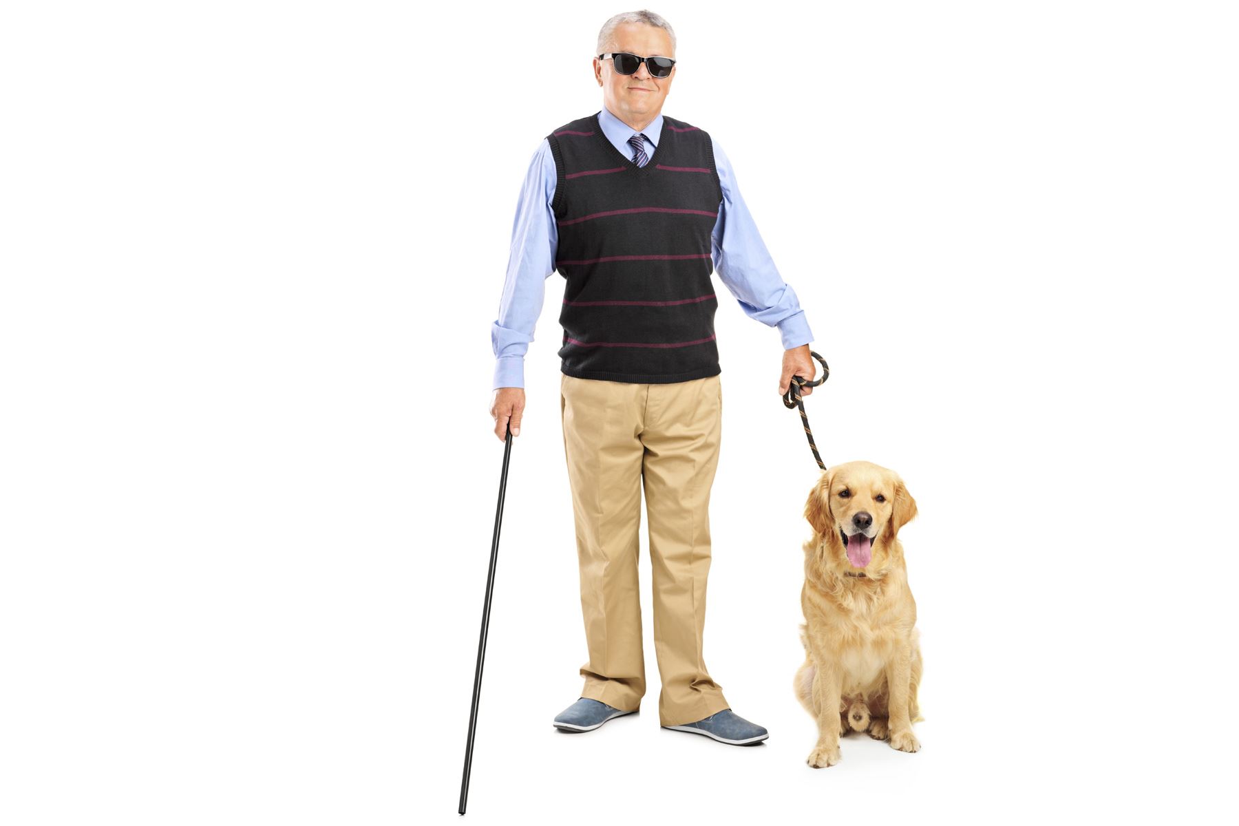 Fakta-Fakta Keren Tentang Tubuh Kita