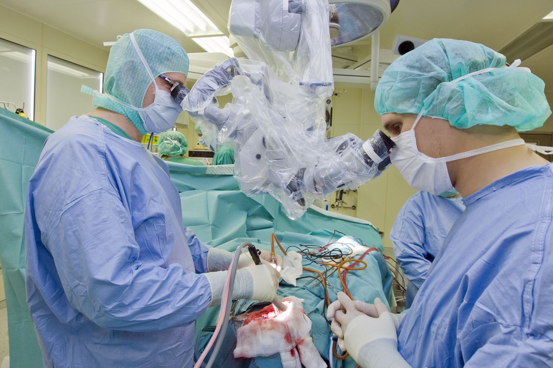 Fakta-Fakta Keren Tentang Tubuh Kita