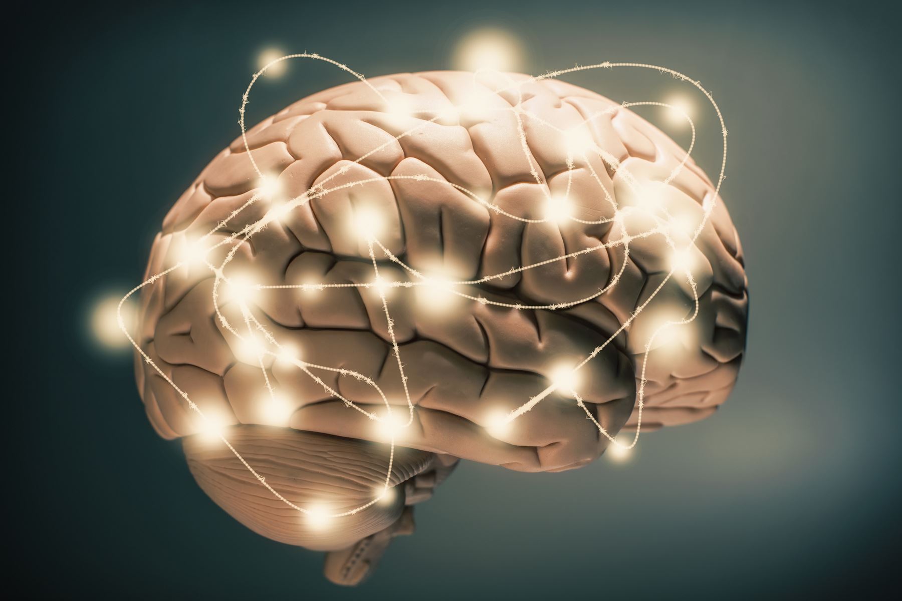 Fakta-Fakta Keren Tentang Tubuh Kita