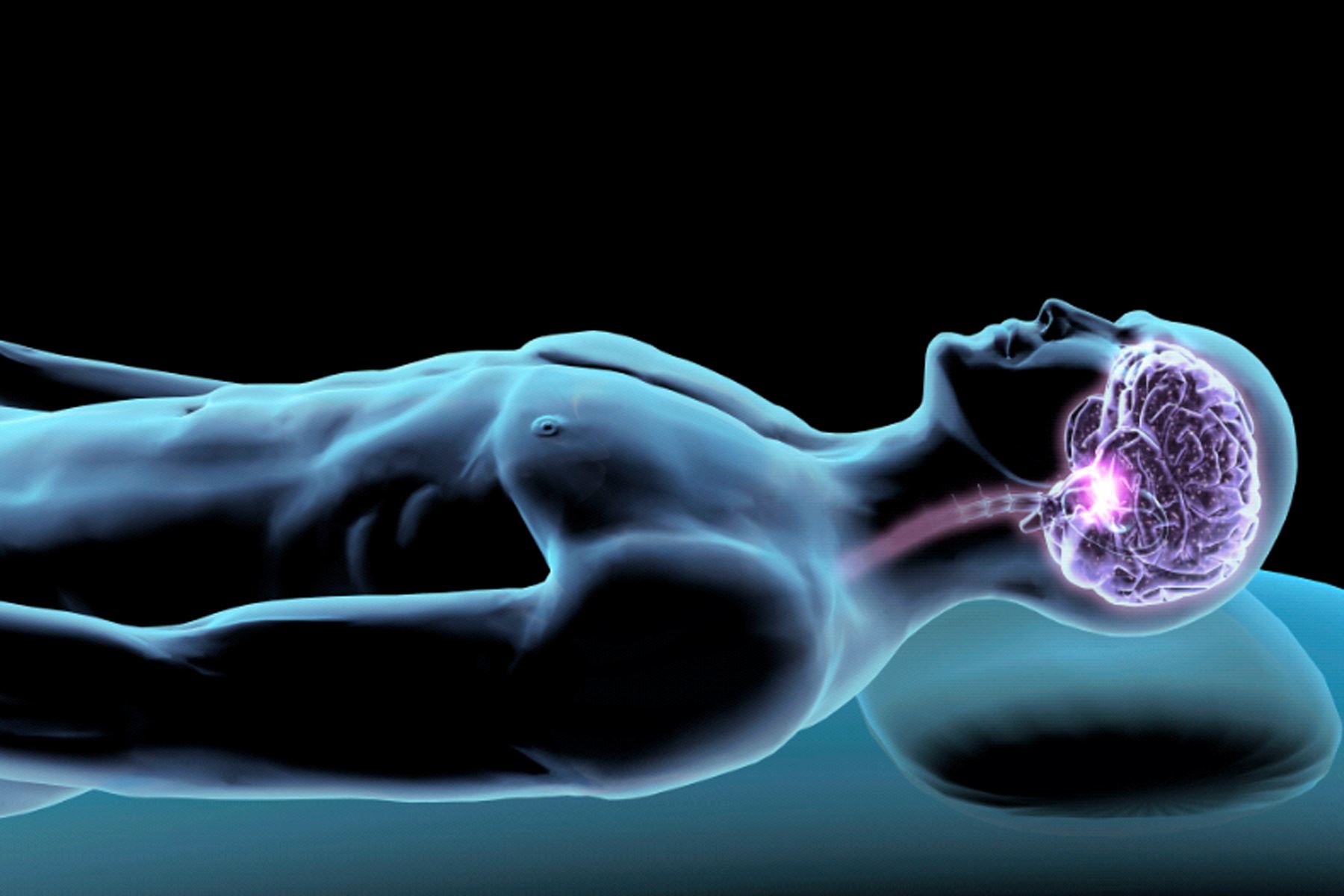 Fakta-Fakta Keren Tentang Tubuh Kita