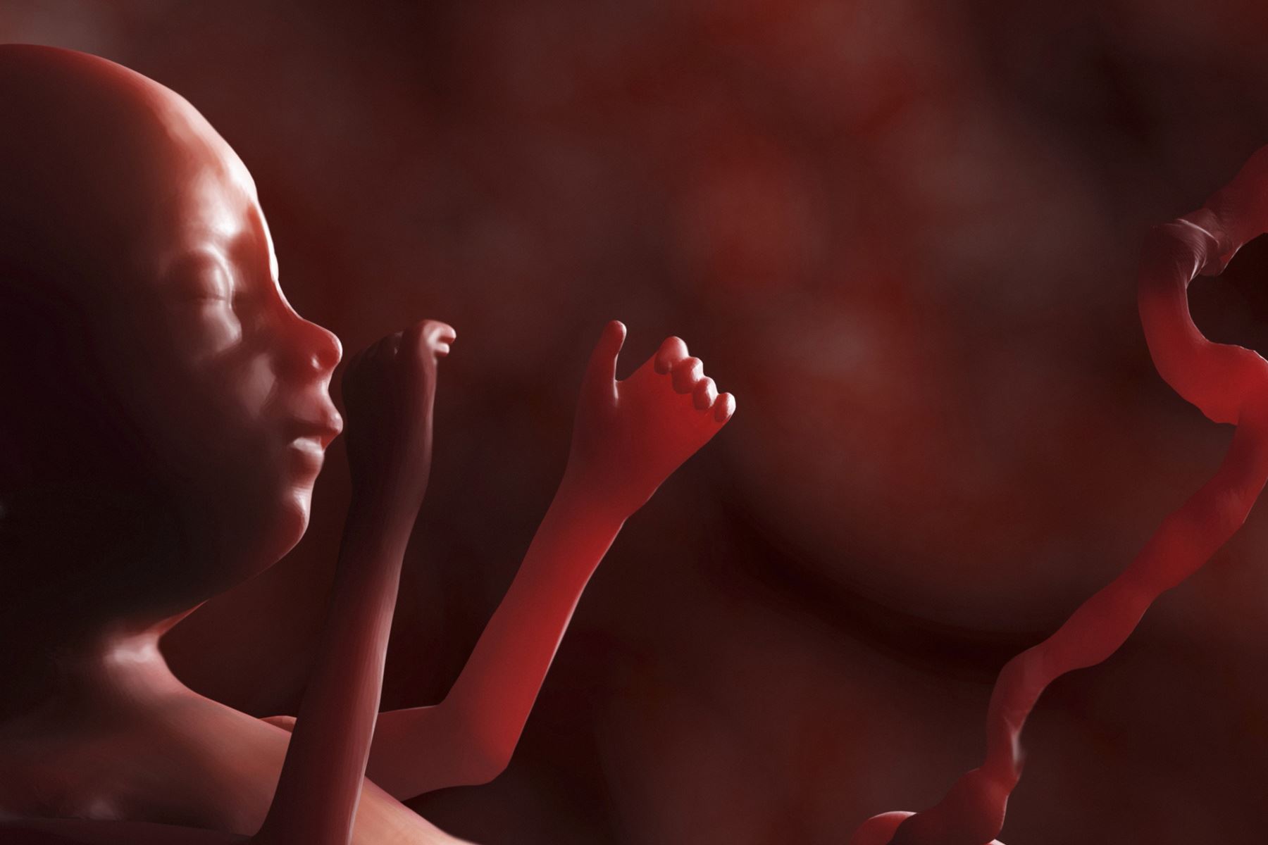 Fakta-Fakta Keren Tentang Tubuh Kita