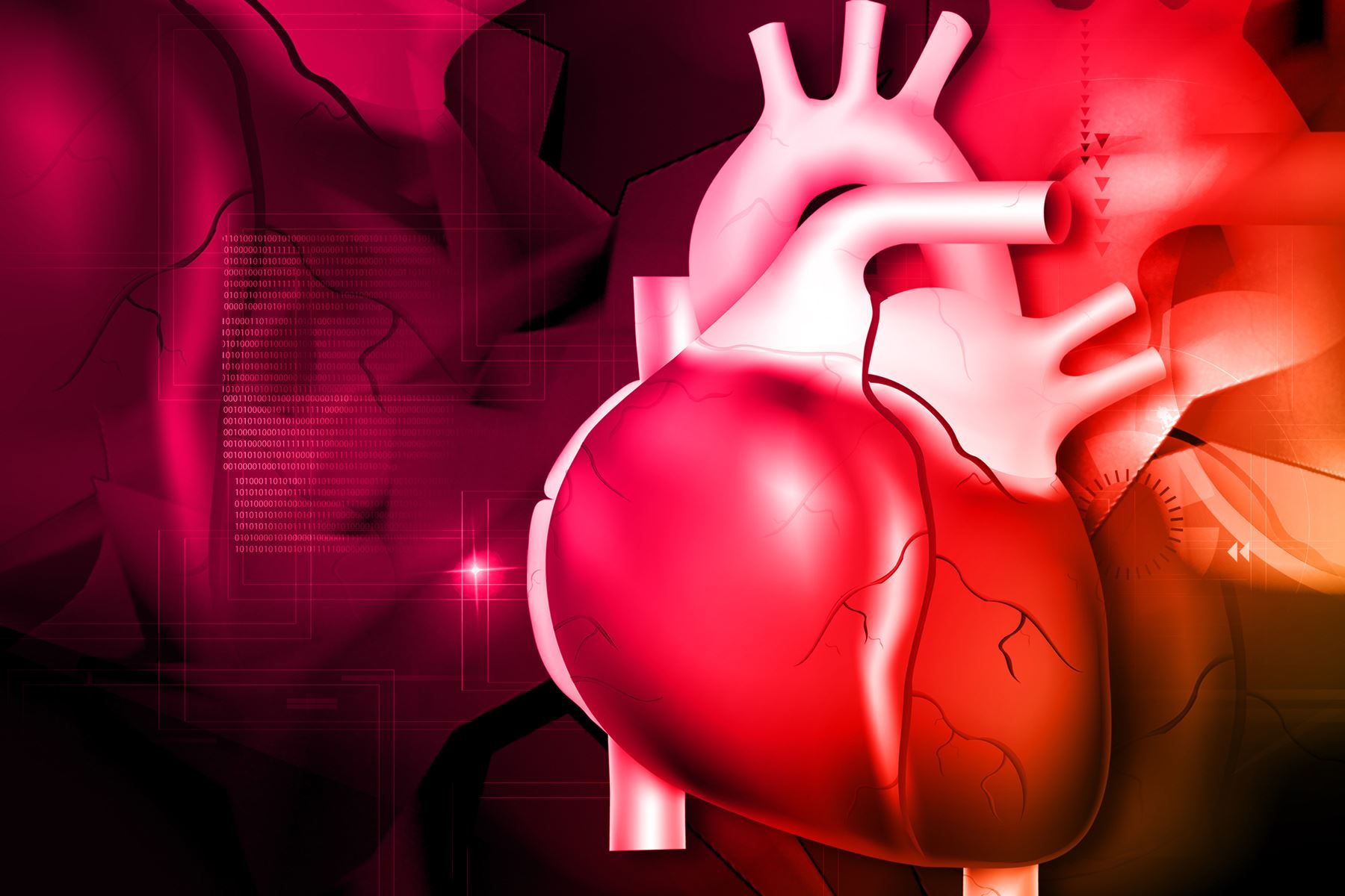 Fakta-Fakta Keren Tentang Tubuh Kita