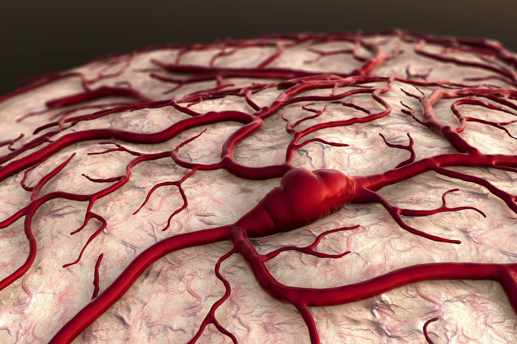 Fakta-Fakta Keren Tentang Tubuh Kita