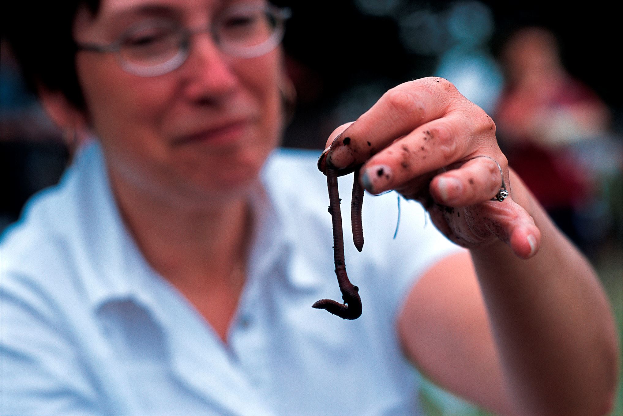 Perlombaan-Perlombaan Terunik di Dunia
