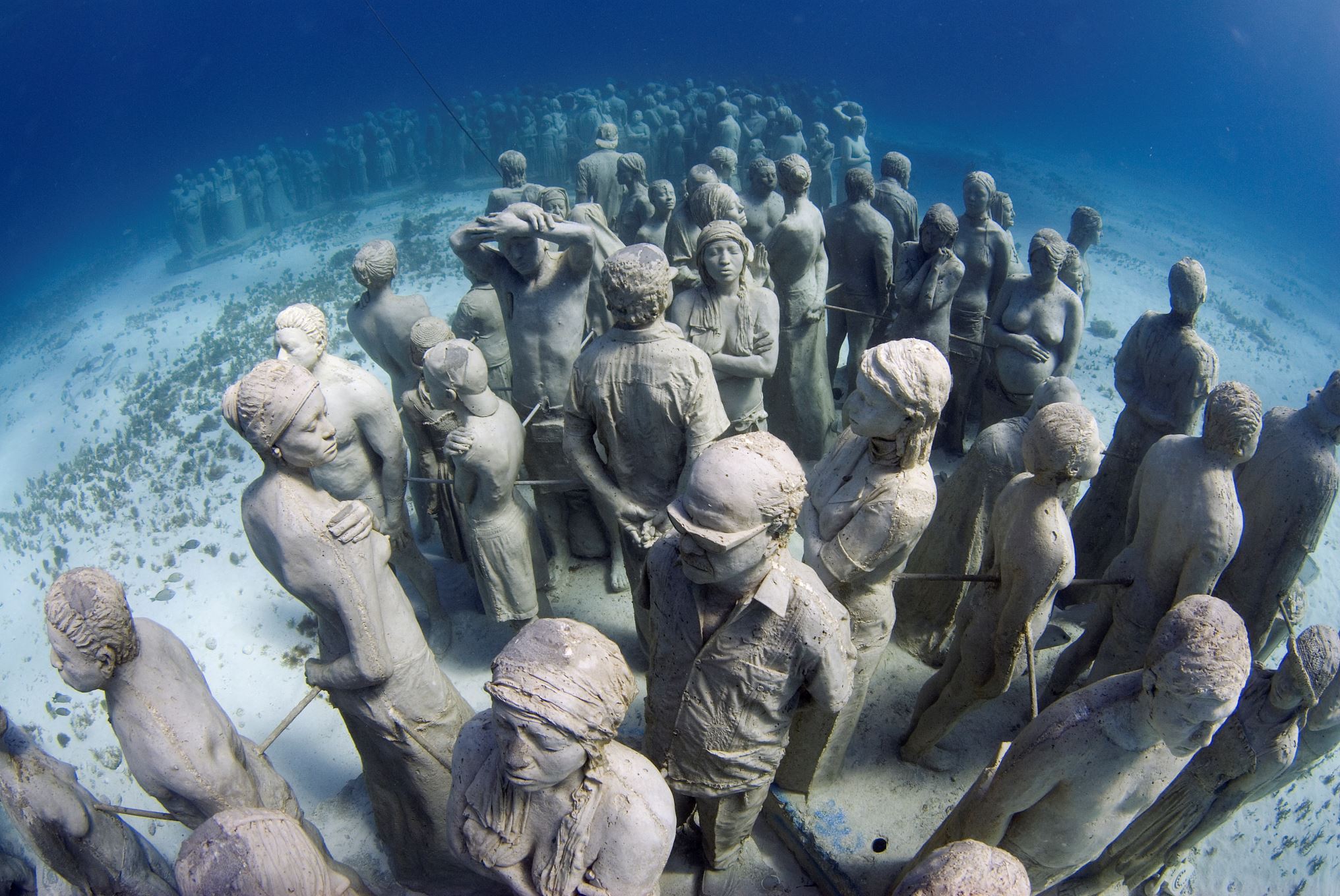 [ Wow :-o ] 10 Pemandangan Under Water paLing Cucok di Dunia 