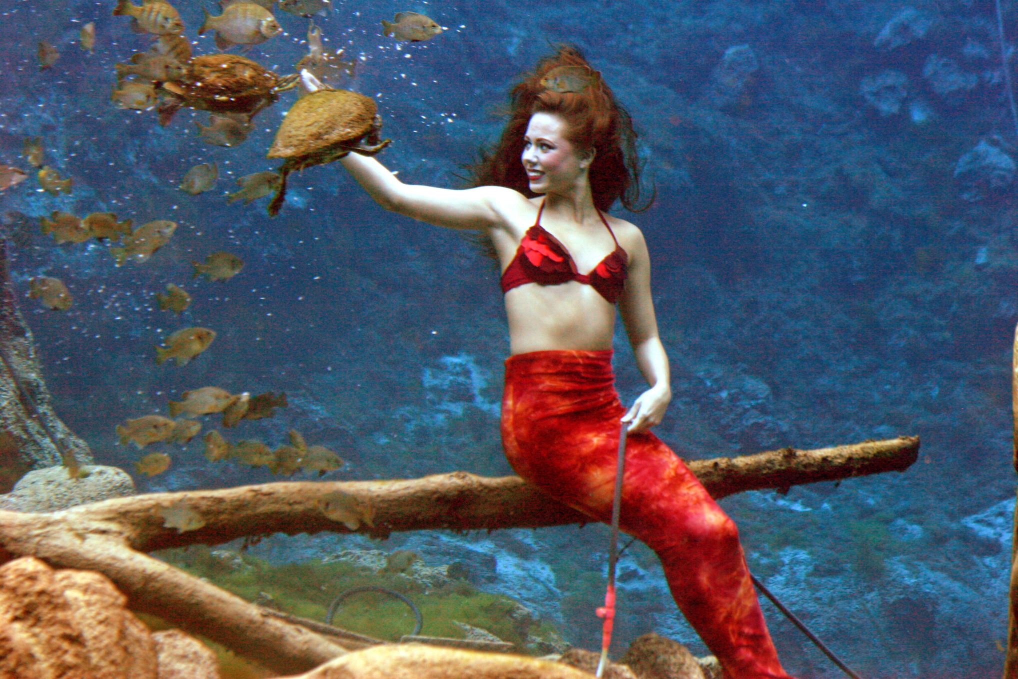 [ Wow :-o ] 10 Pemandangan Under Water paLing Cucok di Dunia 