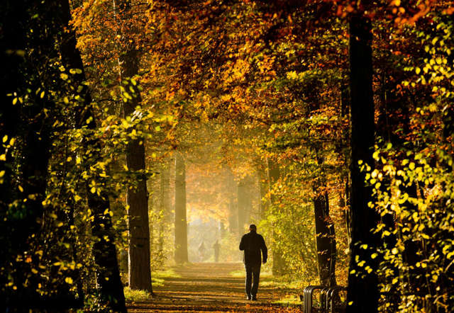 Indahnya Musim Semi di Berbagai Negara