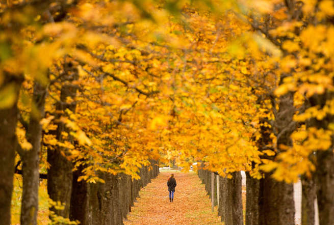 Indahnya Musim Semi di Berbagai Negara